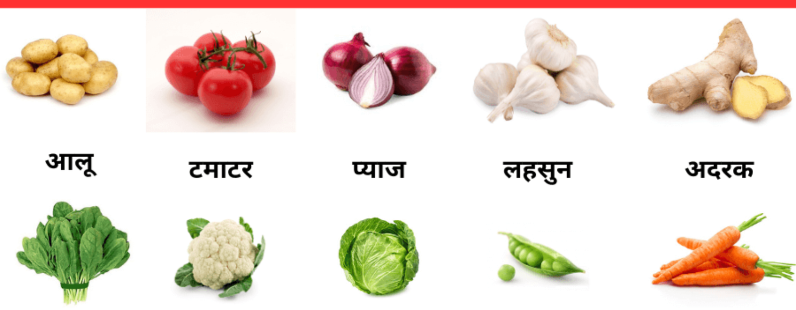 100 सब्जियों के नाम हिंदी और English में